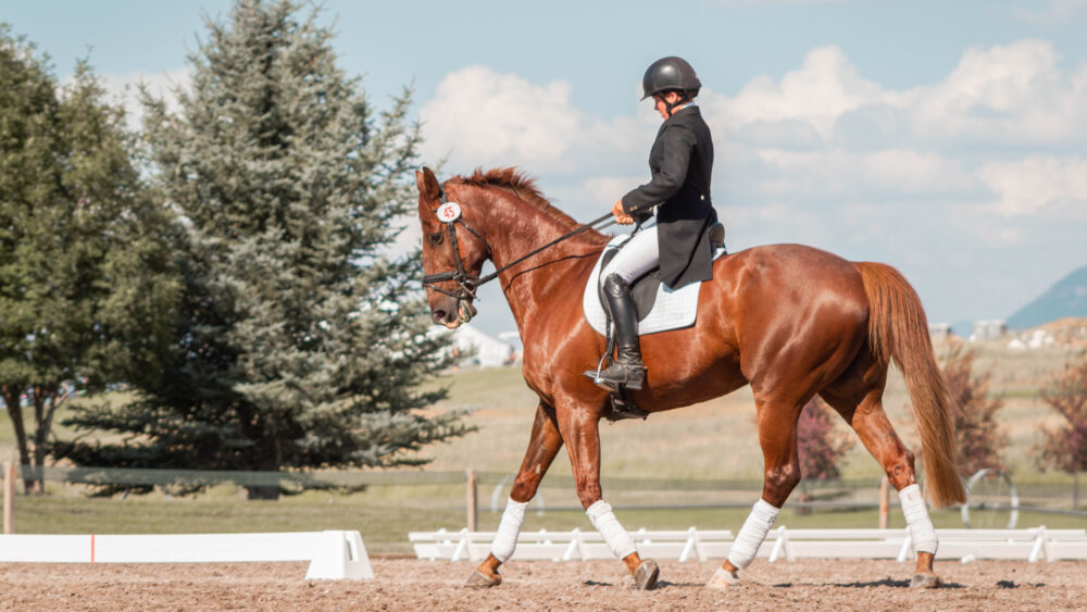Suplementy na lśniącą sierść, stawy i inne dolegliwości – jakie witaminy powinny przyjmować konie?